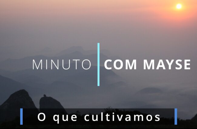 O que cultivamos – Minuto com Mayse de 30 de agosto de 2024 – Ano VIII