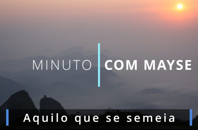 Aquilo que se semeia – Minuto com Mayse de 12 de julho de 2024 – Ano VIII